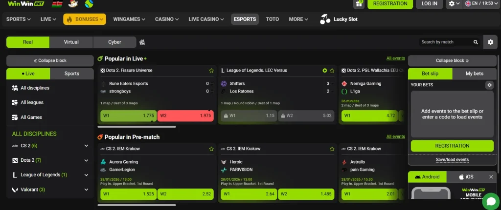 Virtual Sports & eSports Markets